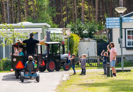 Treinrit bostreintje De Heldense Bossen