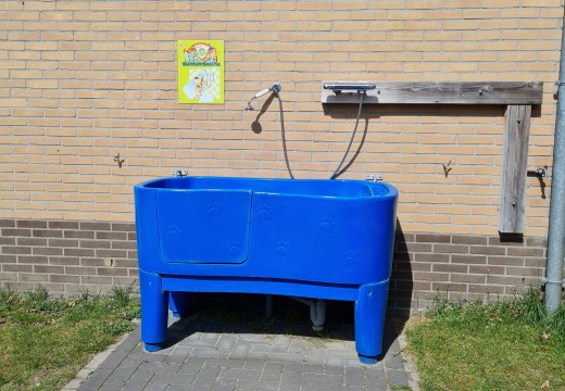 Hondendouche.jpg