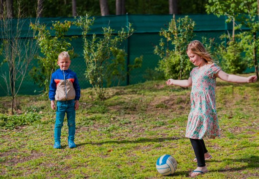 Spelen heldense bossen