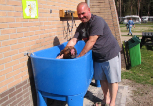Hondendouche met hond
