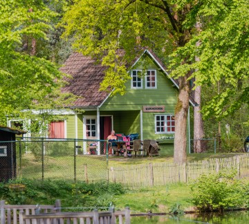 Bosgalow groen huisje
