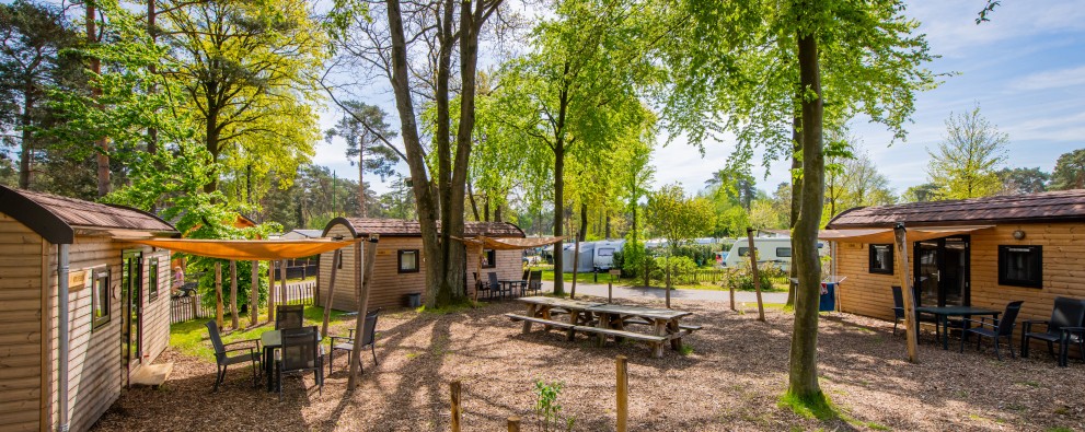 Woodlogdes veld heldense bossen