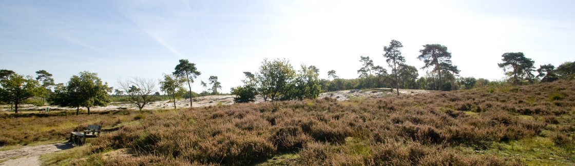 Maasduinen.jpg