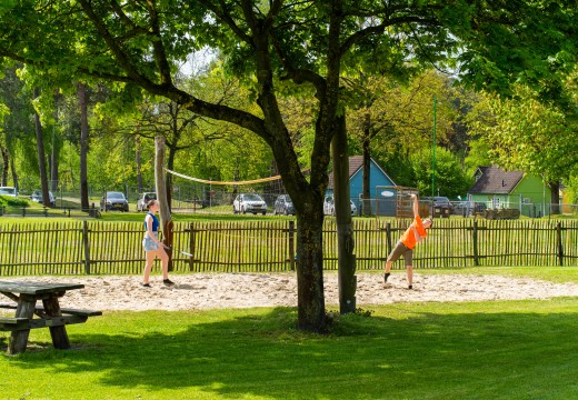 Tennissen heldense bossen