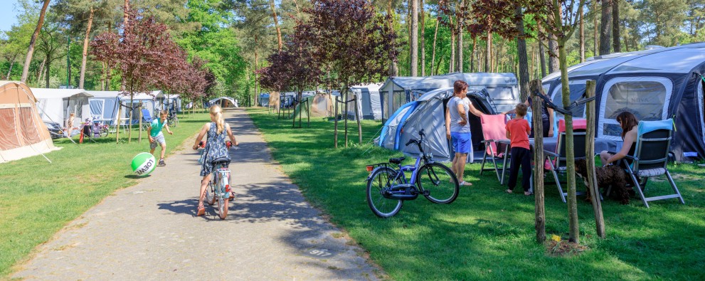 Kampeerveld Camping De Heldense Bossen