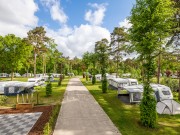 Kamperen camping heldense bossen