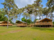 Safaritenten heldense bossen