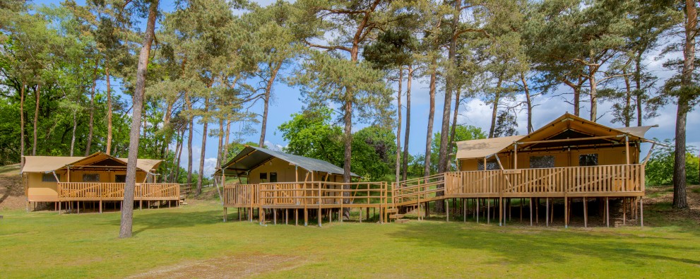 Safaritenten heldense bossen