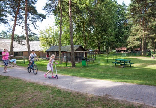 Dierenpark Camping De Heldense Bossen