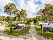 Kamperen bij De Heldense Bossen