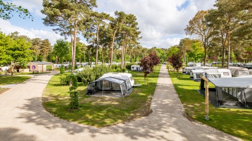 Kamperen bij De Heldense Bossen