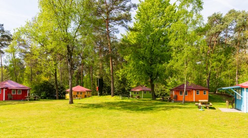 Kampeerbungalows heldense bossen