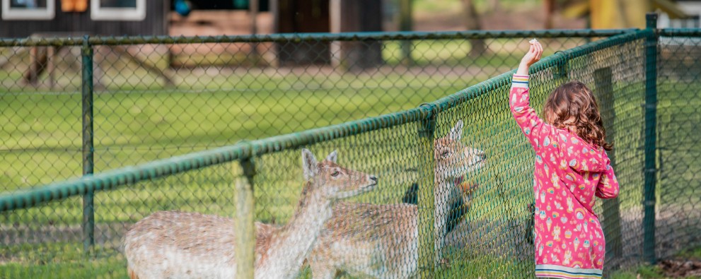 Kinderboerderij